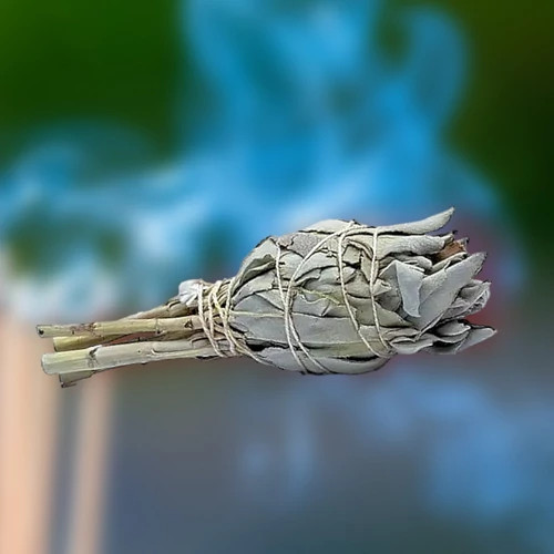 Fehér Zsálya - White Sage köteg