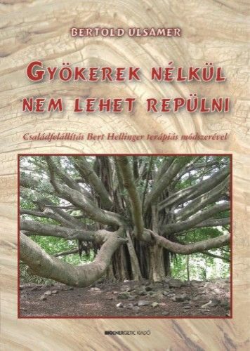 Bertold Ulsamer - Gyökerek nélkül nem lehet repülni