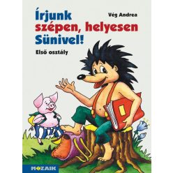   Írjunk szépen, helyesen Sünivel! - Írás és helyesírás gyakorlókönyv 1. o.