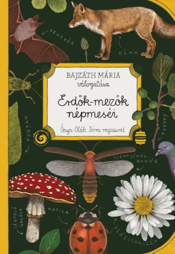 Bajzáth Mária - Erdők-mezők népmeséi