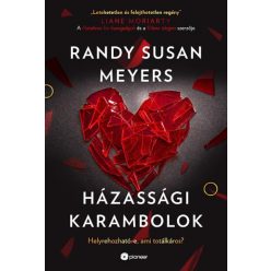 Randy Susan Meyers - Házassági karambolok