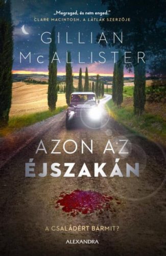 Gillian McAllister - Azon az éjszakán - A családért bármit?