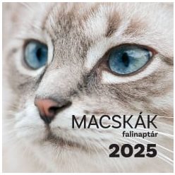 Macskák falinaptár - 2025