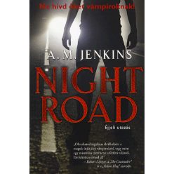A.M. Jenkins - Night road - éjjeli utazás