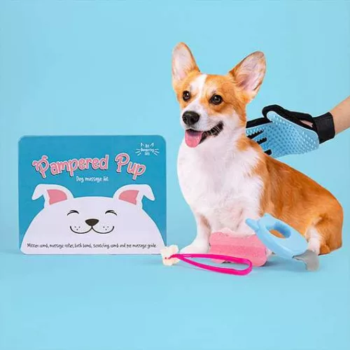 Pampered Pup - Kutya Wellness szett