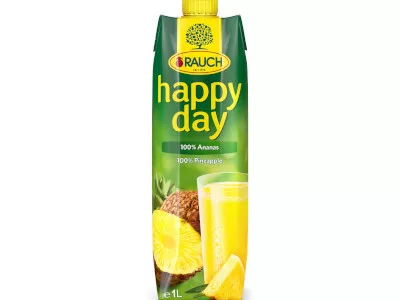 Happy Day 1l Ananász 100%