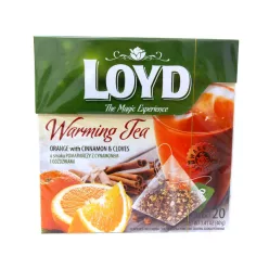 Loyd Hot tea 20*2g Narancs-fahéj