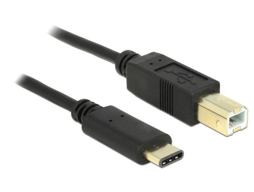 DeLock Cable USB Type-C 2.0 male > USB 2.0 Type-B male 2m Black