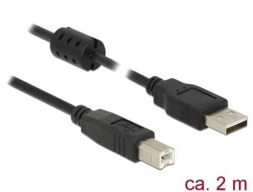 DeLock USB 2.0 Type-A male > USB 2.0 Type-B male cable 2m Black