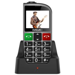 Evolveo EasyPhone EP-800 FD Silver