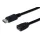 Assmann DisplayPort extension cable, DP 2m Black
