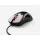 Glorious Model D Gaming Race RGB Glossy Black