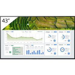 Sony 43" FW-43BZ30L IPS LED Display