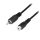 Logilink Audio cable RCA/M to RCA/F 5m Black