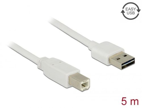 DeLock EASY-USB 2.0 Type-A male > USB 2.0 Type-B male Cable 5m White