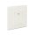 DeLock Keystone Wall Outlet 2 Port compact