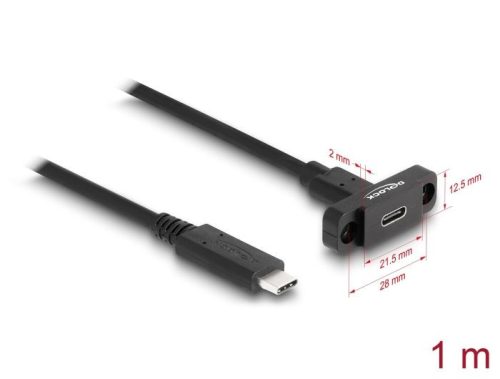 DeLock SuperSpeed USB 10 Gbps (USB 3.2 Gen 2) Cable USB Type-C male to female 1m panel-mount Black