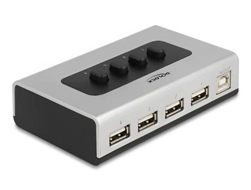 DeLock 4-portos USB2.0 HUB with Switches Silver/Black