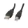 Lanberg USB-A (M) to USB-B (M) 2.0 cable 0,5m Black