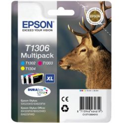 Epson T1306 Multi Pack