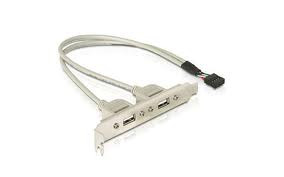 DeLock Slot bracket 2 x USB 2.0 type A female external