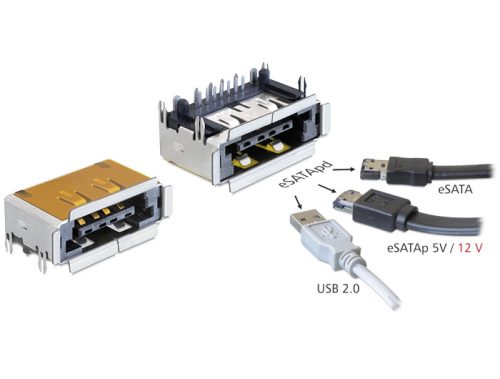 DeLock Connector eSATApd Jack Bulkhead eSATApd + USB 2.0