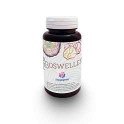 Freyagena forte boswellex kapszula 60 db