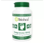 Gingko biloba tartalmú készítmények