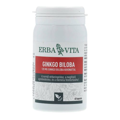 NATUR TANYA GINKGO BILOBA 120MG 60DB