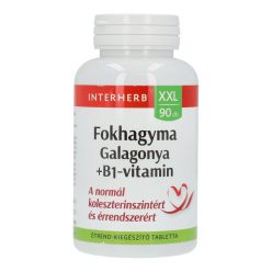 INTERHERB XXL FOKH&GALAG.+B1-VIT.TBL.