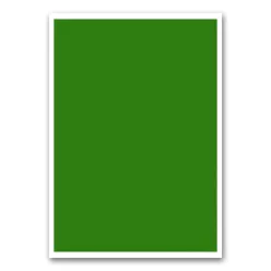 Etikett címke, 210x297mm, 1 címke/lap zöld Bluering®