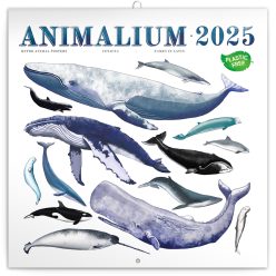   Falinaptár képes lemeznaptár 300x300mm, Animalium Realsystem 2025.