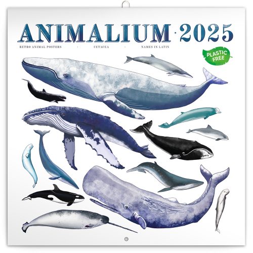 Falinaptár képes lemeznaptár 300x300mm, Animalium Realsystem 2025.