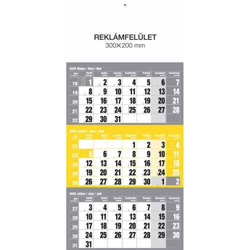 Falinaptár speditőr 1 tömbös 12 lapos 300mmx480mm, külön fejlappal sárga Realsystem 2025.