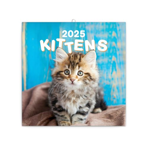 Falinaptár képes lemeznaptár 300x300mm, Kittens Realsystem 2025.