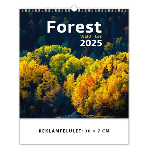 Falinaptár képes 300 x 300 mm, fehér lapokkal Forest Dayliner 2025.