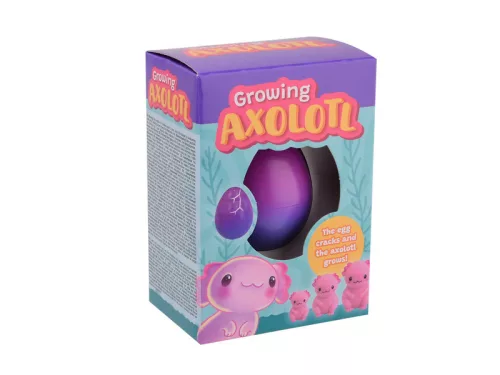 Növő axolotl tojás dobozban, 4 féle