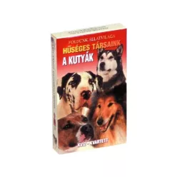 A kutyák