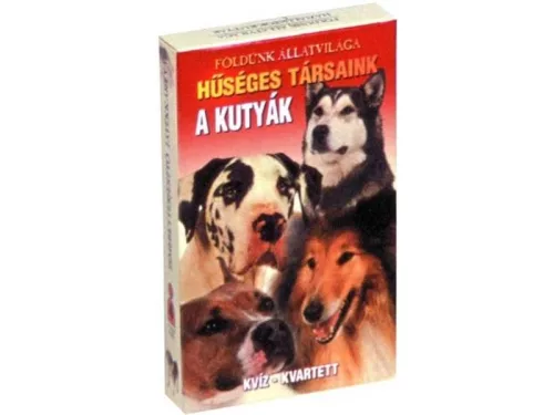 A kutyák