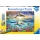 Ravensburger: Puzzle 300 db - Delfin paradicsom