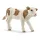 Schleich Tarka borjú