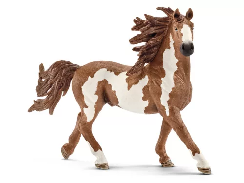 Schleich Pinto csődör