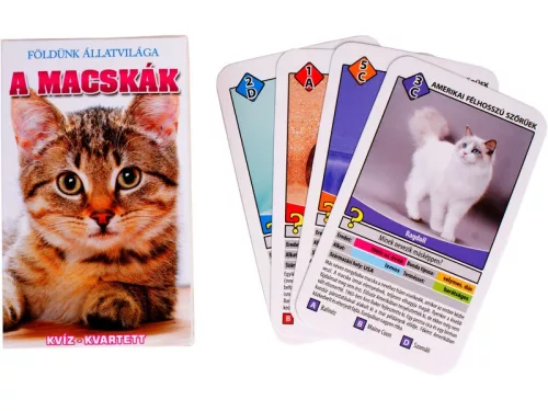 Macskák ismeretterjesztő kártya