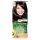 Garnier Color Nat. 4.15 J. GESZTENYE