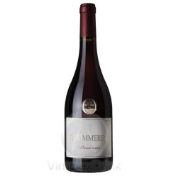 Thummerer Tekenőháti Pinot noir 2009 0,75L