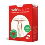 Szív- és érrendszer