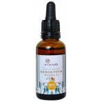 Növényi zsírok, olajok